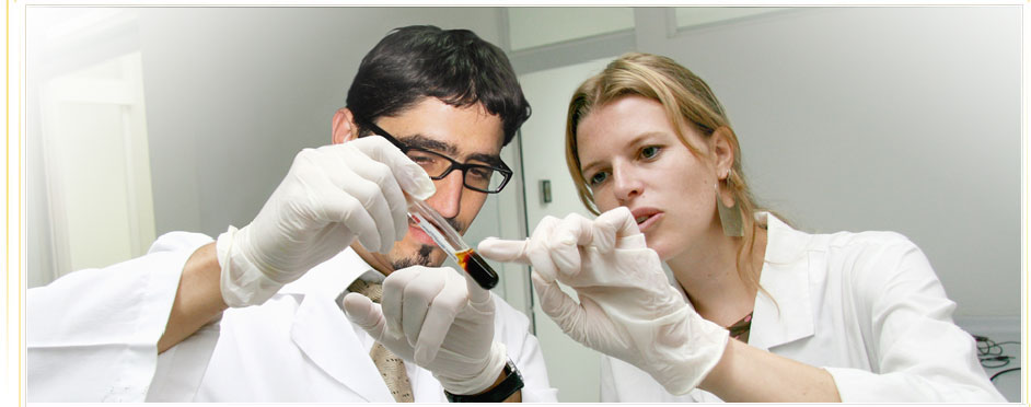 Investigación
